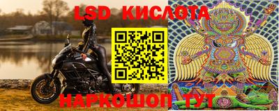 прущие грибы Гусиноозёрск