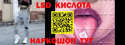 прущие грибы Гусиноозёрск