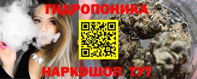 прущие грибы Гусиноозёрск