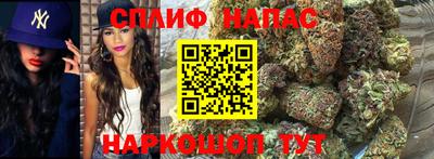 МДПВ Гусев