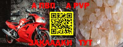 прущие грибы Гусиноозёрск