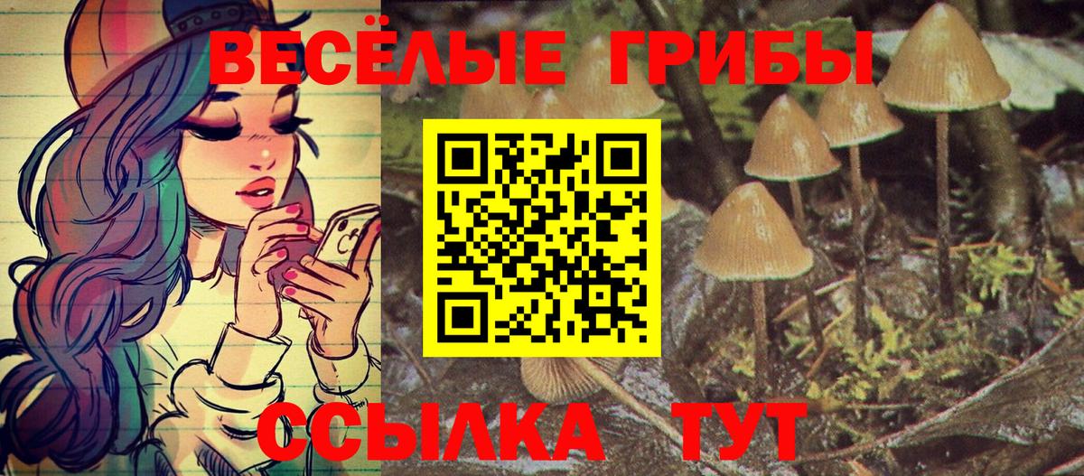 Менделеевск  купить наркотик  Псилоцибиновые грибы прущие грибы  Вход с VPN  Псилоцибиновые грибы ЛСД 
